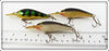 Rapala Perch, Gold & Silver Fat Rap Lot Of Three