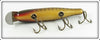 Creek Chub Pikie Scale 700 Pikie