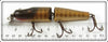 Creek Chub Pikie Scale Jointed Pikie