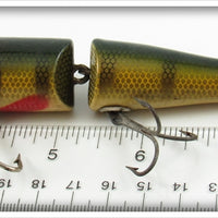 Creek Chub Perch Jointed Pikie