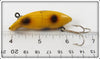 Unknown Yellow Spotted Rush Tango Type