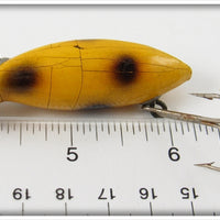 Unknown Yellow Spotted Rush Tango Type