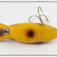 Unknown Yellow Spotted Rush Tango Type