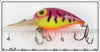 Storm Purple Tiger Wiggle Wart