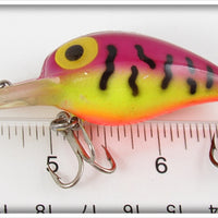 Storm Purple Tiger Wiggle Wart