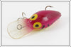 Storm Purple Tiger Wiggle Wart