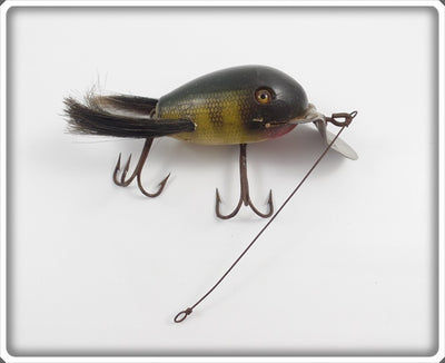 Creek Chub Perch Dingbat