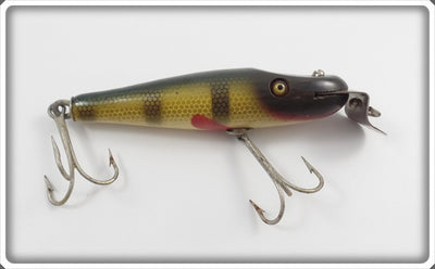 Creek Chub Perch Baby Pikie