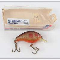 Vintage Rebel Naturalized Crawdad Teeny R Lure In Box