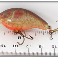 Rebel Naturalized Crawdad Teeny R In Box