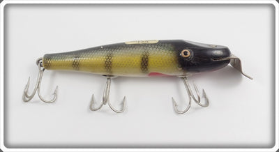 Creek Chub Perch Pikie