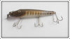 Creek Chub Pikie Scale Pikie For Fishing With