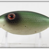 Unknown Green Scale Crippled Minnow