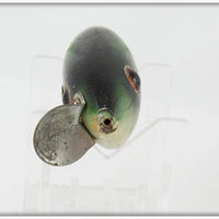 Unknown Green Scale Crippled Minnow