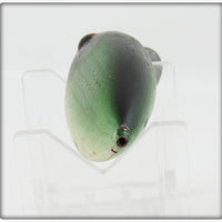 Unknown Green Scale Crippled Minnow