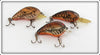 Bomber Natural Crawdad Square A & Model A Lot Of Three Lures