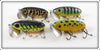 Arbogast Firetiger, Coachdog, Perch & Frog Jitterbug Lot Of Four
