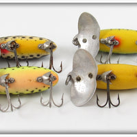 Arbogast Firetiger, Coachdog, Perch & Frog Jitterbug Lot Of Four