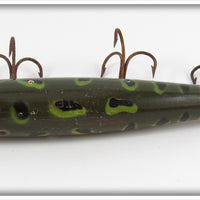 Creek Chub Frog Spot Darter