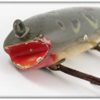 Creek Chub Frog Spot Darter