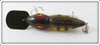 Martin Yellow Perch Lizzard