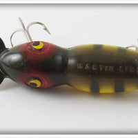 Martin Yellow Perch Lizzard