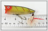 Heddon Perch Chugger Spook