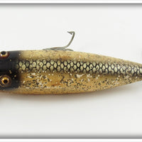 Creek Chub Silver Flash Injured Minnow
