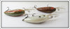 Bill Dance Crawdad, Glitter, & White Fat Free Shad Lot Of Three
