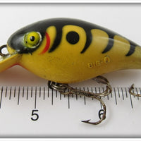 Cordell Yellow Black Tiger Stripe Big O