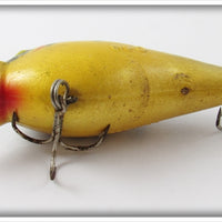 Cordell Yellow Black Tiger Stripe Big O