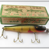 Vintage Creek Chub Perch Pikie Lure In Box 701 