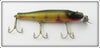 Creek Chub Perch Pikie In Box