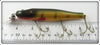 Creek Chub Perch Pikie In Box