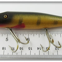 Creek Chub Perch Pikie In Box