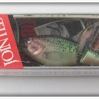 Vintage Rapala Silver Bass Jointed Shad Rap Lure In Box