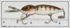 Whopper Stopper Brown & Gold Scale Hellbender