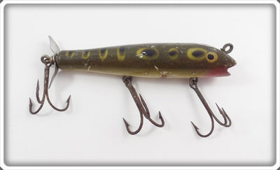 Creek Chub Frog Spot Darter