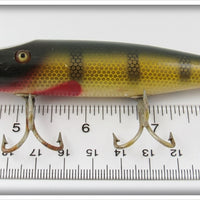 Creek Chub Perch Pikie