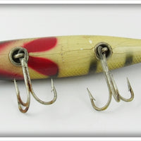 Creek Chub Perch Pikie