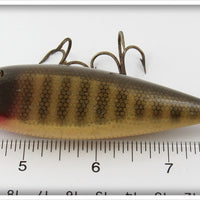 Creek Chub Pikie Scale Injured Minnow