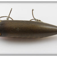 Creek Chub Pikie Scale Injured Minnow