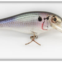Bagley Shad Bass N Shad Lure