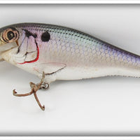 Bagley Shad Bass N Shad