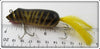 Creek Chub Tiger Stripe Mouse