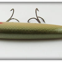 Paw Paw Aristocrat Shiner