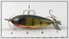 Creek Chub Perch Baby Injured Minnow