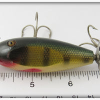 Creek Chub Perch Baby Injured Minnow