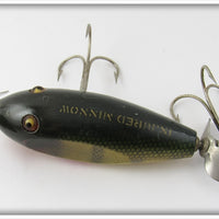 Creek Chub Perch Baby Injured Minnow