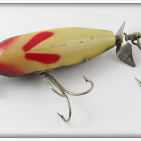 Creek Chub Perch Baby Injured Minnow